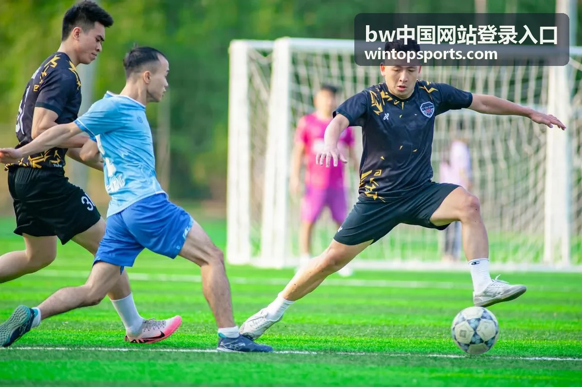BW中国登录入口访问步骤提示图片