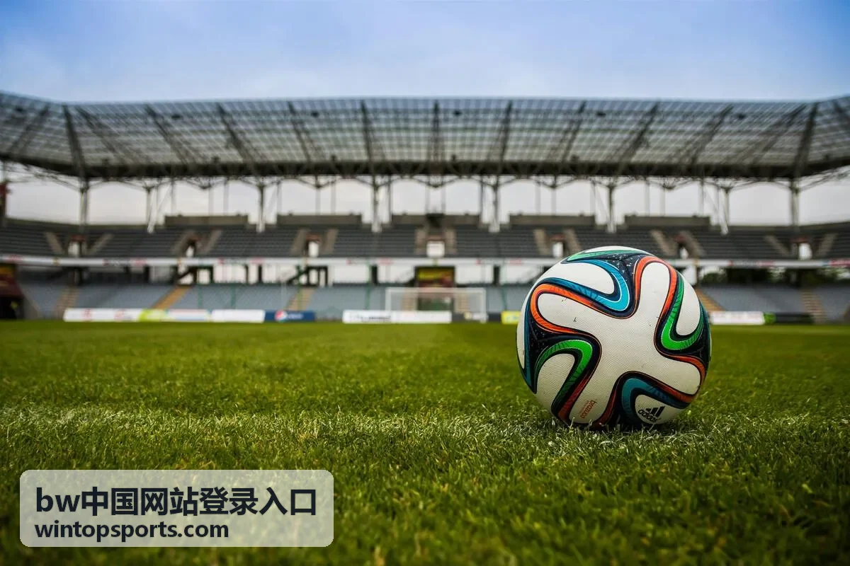 bw中国登录入口帮助指南条目